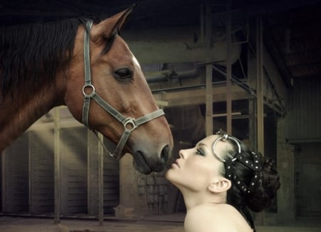 * - horse, girl, image, color, wallpaper, friend, new, expression