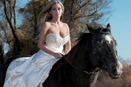 In white dress - horse, image, color, wallpaper, bride, new, expression