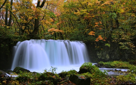 Horseshoe Fall - Trees, Nature, Australia, Waterfall, Forest