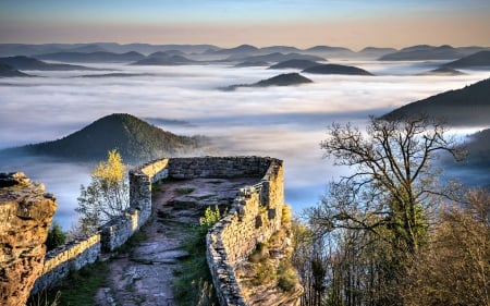 Foggy Palatinate Forest, Germany - landscape, forest, castle, foggy, germany