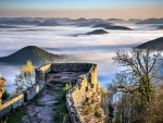 Foggy Palatinate Forest, Germany