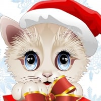 Sweet Christmas Cat