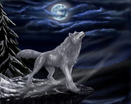 Wolf for Wolfgang (Wollo) - moon, white, winter, wolf, full, lovely, sky