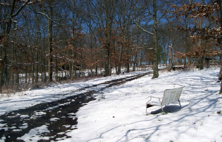 Man! Its Cold Outside - winter, nature, rural, snow