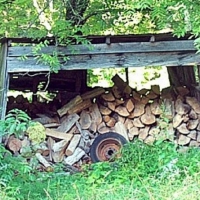 Stockpile of Wood