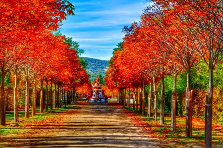 November - pretty, reflection, leaves, golden, nice, falling, branches, beautiful, mirrored, colors, lovely, tree, fall, glow, colorful, nature, november, autumn, foliage, shine