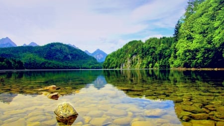 CLEAR WATER LAKE - lake, forest, shallow, clear, stones, mountains