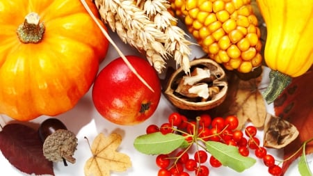 Thanksgiving Harvest - nuts, harvest, corn, maze, leaves, berries, fall, autumn, Thanksgiving, s squash, apple