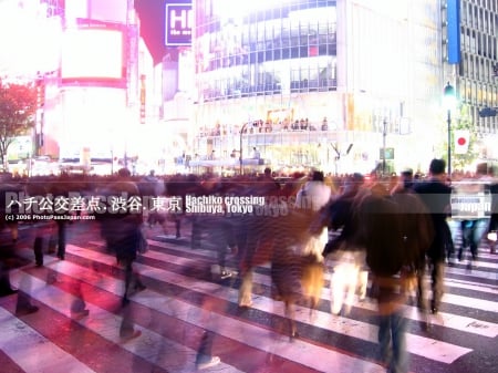 Shibuya - tokyo, japan, shibuya, hachiko, city, cross