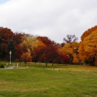 Autumn In The Park
