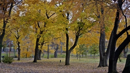 Autumn's Glory - autumn beauty, majestic autumn, auutmn majesty, autumn glory