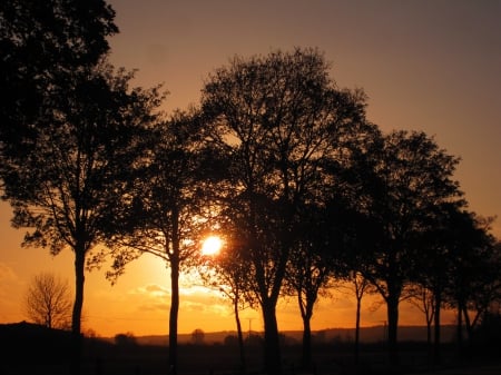 End of the day - trees, sunset, nature, photography, sunsets