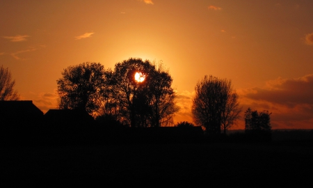 Suns@t - nature, view, sky, trees, photography, sun, sunsets, sunset