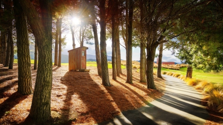 sunbeams in a forest over hut - hut, sunbeams, forest, road