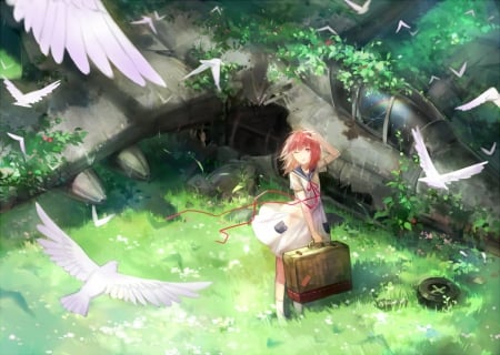 Where Am I? - aircraft, rainbow, girl, suitcase, ribbons, anime, dress, birds