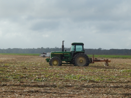 Perfect shot! Nice Tractor old time - cut, land, tractor, done, sugar, cane, sugarcane, nature