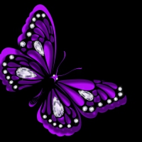 Purple Butterfly