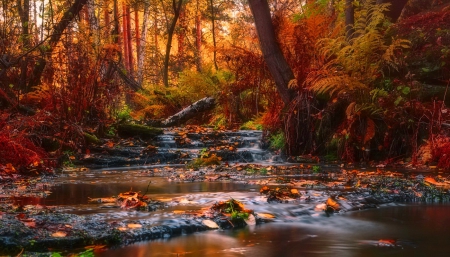 Autumn cascades - calm, quiet, cascades, creek, stream, forest, nice, falling, trees, water, beautiful, lovely, fall, season, autumn, serenity, foliage