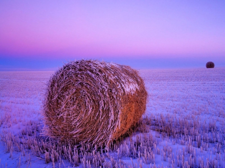 Winter Field - winter, field, hay, snow