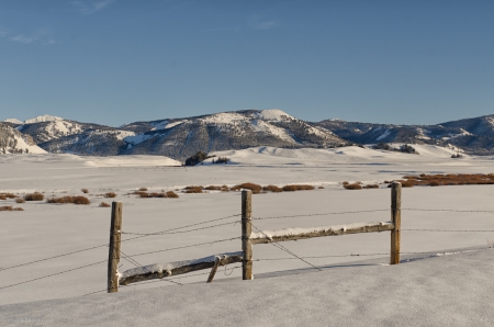 Winter - winter, nature, field, snow