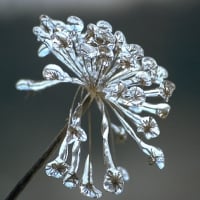 Ice Flower