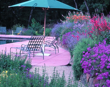 flower garden - purple, photography, flowers, place, pool, garden