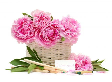 still life - picture, pink, basket, still life, flower