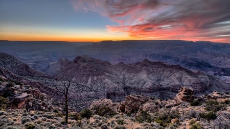 sunset over spectacular grand canyon - horizon, tree, sunset, canyon