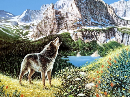 In the Mountains - nature, wolf, predator, artwork