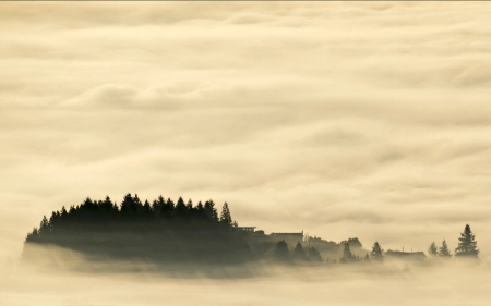 The Island Shrouded in Fog - fog, trees, water, island