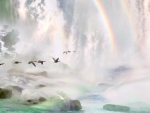 Geese flying through a Waterfall