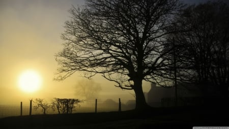 Countryside sunset - autumn, landscape, sun, countryside, field, wallpaper, sunset, mist, hd, nature, fall, fog, tree, sunrise, scene