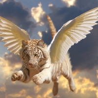 Flying Tiger