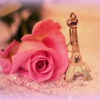 âœ«Romantic Parisâœ«