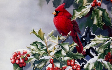 RED WINTER BIRD - male, berry, bush, winter, holly, christmas, bird, cardinal, red