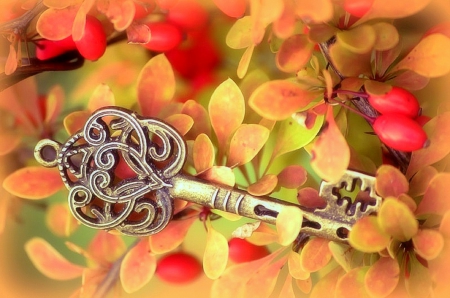 ✫Autumn Key✫ - key, creative pre-made, autumn key, leaves, plants, fruits, other, trees, softness beauty, beautiful, photography, weird things people wear, colors, lovely, still life, fall season, nature, autumn, love four seasons