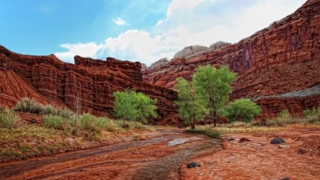 beautiful canyon creek - trees, cliffs, canyon, creek