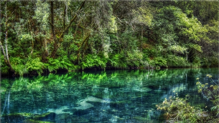 beautiful azure river hdr - river, clear, hdr, forest, azure