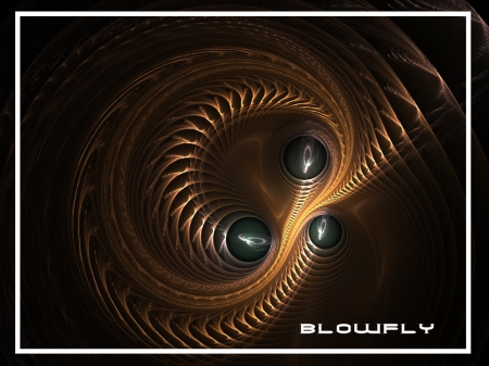 BLOWFLY - style, paint, world, fractal