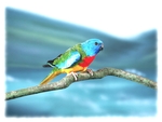 Parrot on Branch