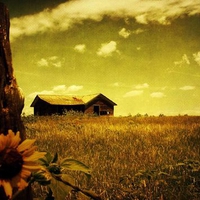 abandon