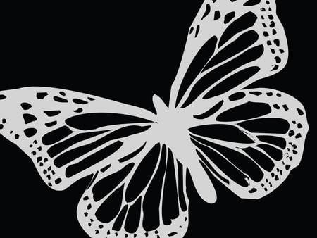 Simple Butterfly - white, butterfly, abstract, simple, black