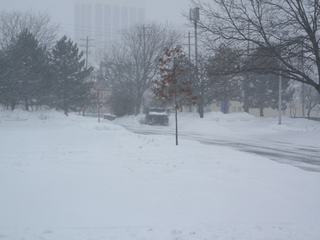 Columbus Blizzard - winter, nature