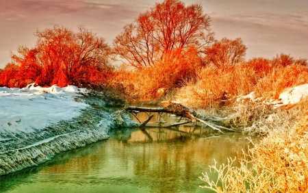 November - nice, autumn, colorful, mirrored, shine, foliage, fall, pretty, reflection, tree, golden, branches, falling, lovely, nature, glow, beautiful, leaves, november, colors