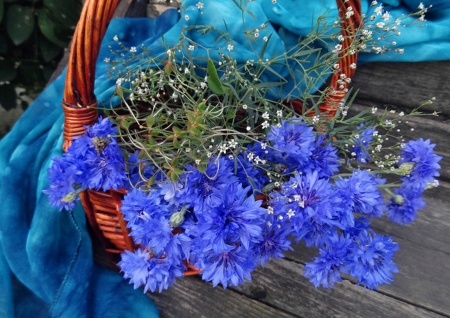 Beautiful blue - wallpaper, simple, basket, nature, blue, beautiful, flowers, garden, natural