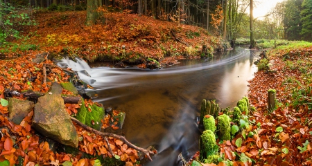 Autumn flow - flow, beautiful, creek, forest, lovely, reflection, leaves, fall, colorful, river, shore, nature, autumn, nice, foliage