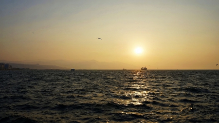 sunbird - sky, guitar, sunsets, sea, birds