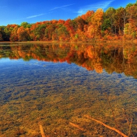 Fall reflections