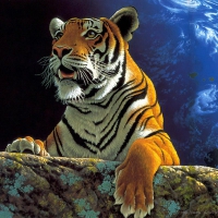 Fantasy Tiger