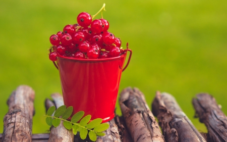 Red Berries - nature, red berries, red, fruit